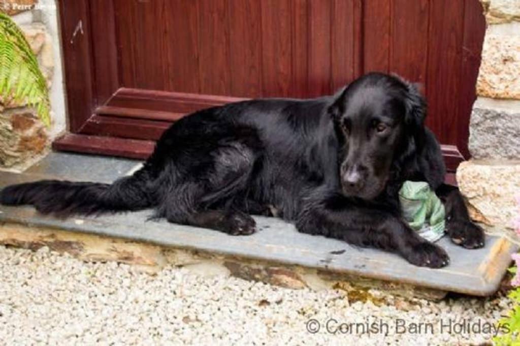 The Snug At Cornish Barn Holidays ทรูโร ภายนอก รูปภาพ