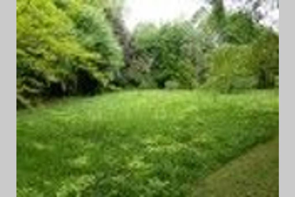 The Snug At Cornish Barn Holidays ทรูโร ภายนอก รูปภาพ