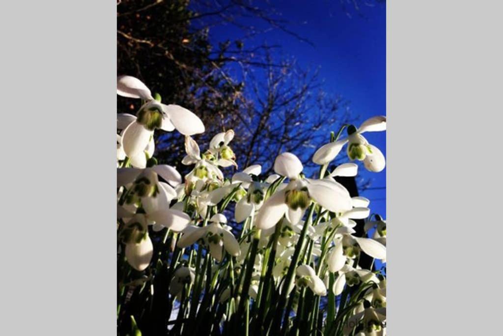 The Snug At Cornish Barn Holidays ทรูโร ภายนอก รูปภาพ