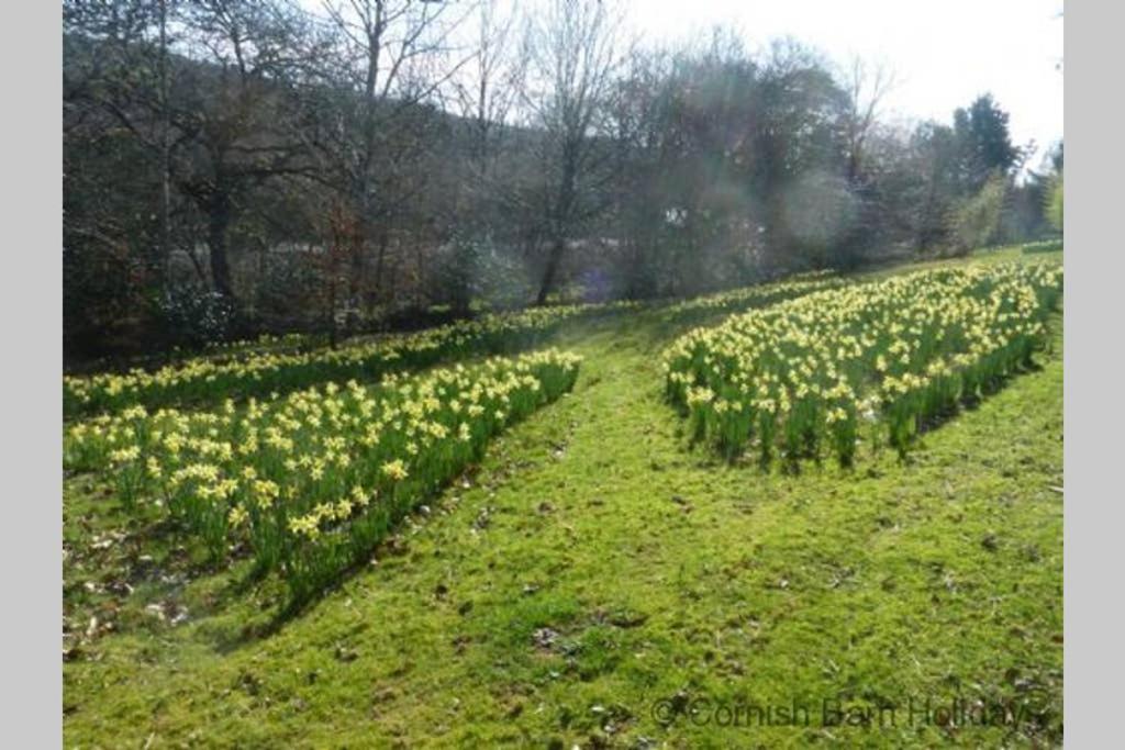 The Snug At Cornish Barn Holidays ทรูโร ภายนอก รูปภาพ