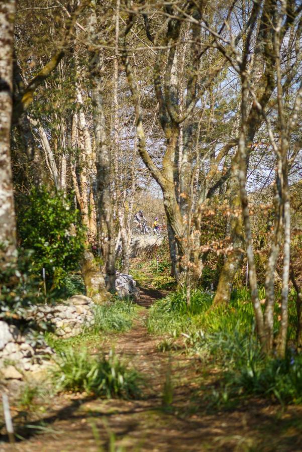 The Snug At Cornish Barn Holidays ทรูโร ภายนอก รูปภาพ